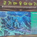 상관편백숲 공영주차장 이미지