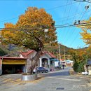 요광1리 경로당 이미지