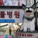 위성정형외과의원 이미지