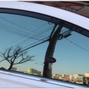 몬스터모터스 이미지