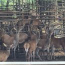 석우농장 이미지