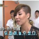 서울숯불바다