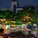 군청 앞 이미지