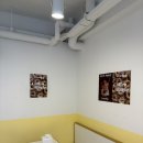 아렌 - 13093 | [증산역 맛집] 베이글이 맛있는 증산역 아렌 베이글&포케 내돈내산 솔직후기