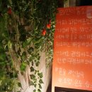 청춘이용소