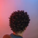 바비하우스 이미지