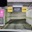 일산 그랜드백화점 폐업 세일 방문 후기 폐점정리 5월8일부터 6월1일까지