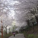 오십천어린이집 이미지