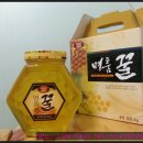 광산구-007 이미지