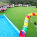 개리비안베이 이미지