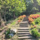 월성박씨종중묘역 이미지