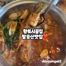 황토마당 | 팔공산 오리불고기 맛집 방갈로 식당 또간집 황토시골집 토종닭 닭도리탕 후기