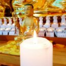 해동고등학교 이미지