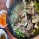 부산 사상 대궐안집 갈비탕 맛본 내돈내산 후기(위치 및 정보, 맛, 총평)