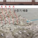 수수하개 이미지