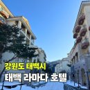 태성목장 | 태백 숙소 추천 눈 오는날 다녀온 라마다호텔 태백 겨울 여행 후기