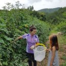 재철농장 이미지