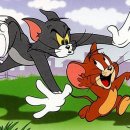 톰과 제리 이미지