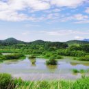 창녕 우포늪 이미지