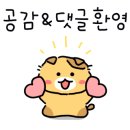 지성 태권도장 이미지