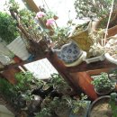 행복한 소꿉놀이 이미지