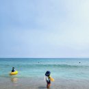 장사해수욕장(솔밭) 이미지