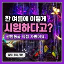 동선산업 | ⭐광명동굴 방문 전 필독⭐｜여름철 주차·동선·관람 꿀팁 총정리