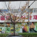 더마트(식자재) 네이버블로그
