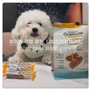 선덴탈 | 기호성 대박 강아지치석제거껌 , 시그니처바이 저알러지덴탈껌 으로 관리해요