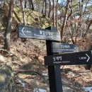 천보체육회 티스토리