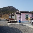편백나무펜션 이미지