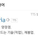 사르토리아마스티오