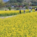 낙동강레일파크 이미지