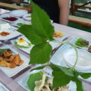 바다웽이 | 세이지우드 cc 여수 경도 1박 2일 여행