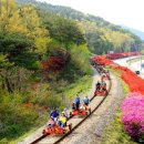 곡성-242 이미지