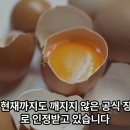 1905년 을사년의 왜곡이 120년만에 다시 재현된 2025년 을사년 정동희 총평 인간이 가장 오래 산 인간 수명을 찾아보면, 공식 이미지