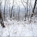 장군해장국 이미지