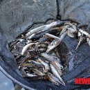 구룡천2 이미지