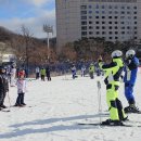 에이스의류 | 휘닉스파크 스키강습 추천, 장비·의류 렌탈까지 편한 샵에이스