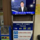 보보스랜드 이미지