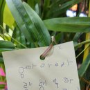 소원 노래연습장 이미지
