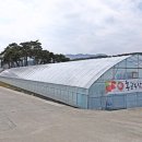 맹방해변로 이미지