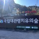 대관령 치유의 숲 이미지