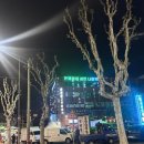 클럽 돈텔마마 | [하이테크서울/High Tech Seoul] 샬롯드비테 내한공연 @ 돈텔마마 26.04.18.토