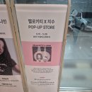 헬로키티X지수 팝업스토어(+상품 종류, 가격) 내돈내산 후기 in 부산 롯데백화점 서면 본점