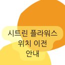 시트린플라워스