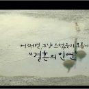 참결혼정보 이미지