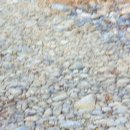 강변주유소화장실 이미지