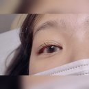 병점속눈썹 캣츠래쉬 : 영양 가득 무손상 속눈썹 펌 ❤