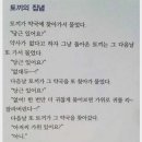 (돌아 온 고전유머) 토끼의 집념 이미지